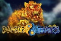 Double Tigers Slot Review